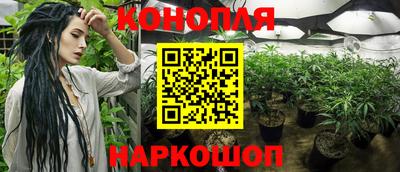 spice Новозыбков