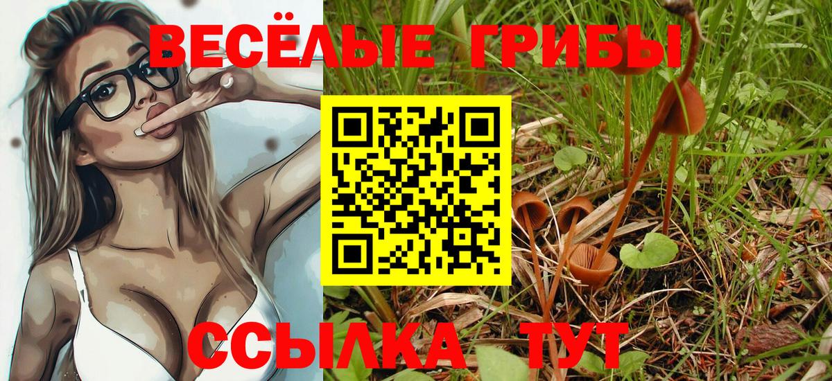 Псилоцибиновые грибы прущие грибы  Вход с VPN  Ростов-на-Дону 